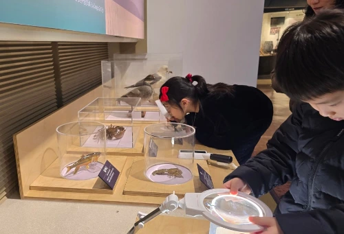 SE-2d069cb3-0640-4e4f-bd82-e3d7fc75671f.jpg?type=w1