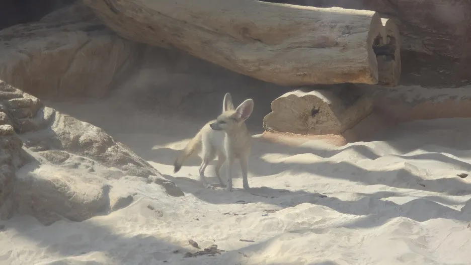 20260321_135222.jpg?type=w1