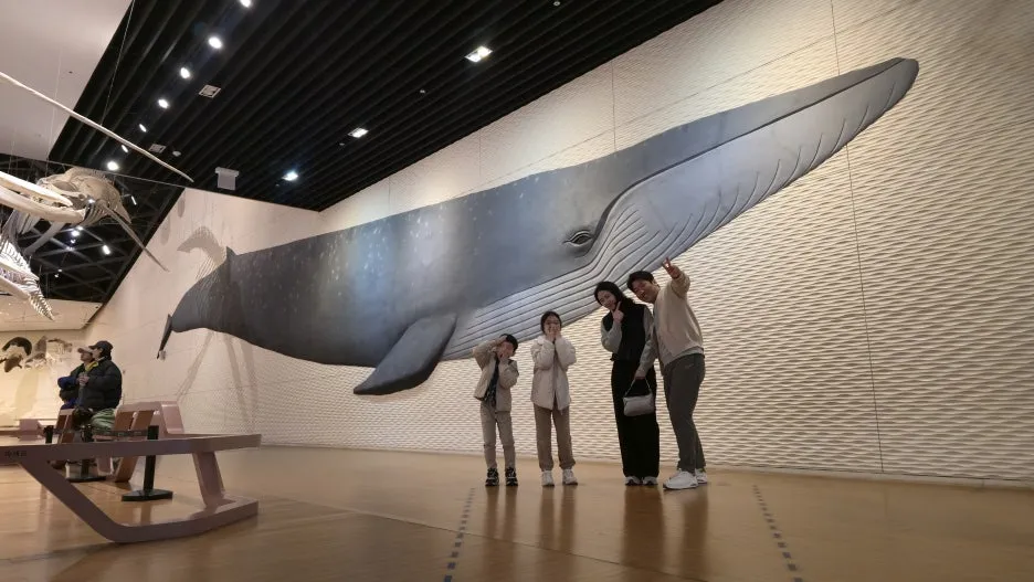 20260322_112602.jpg?type=w1