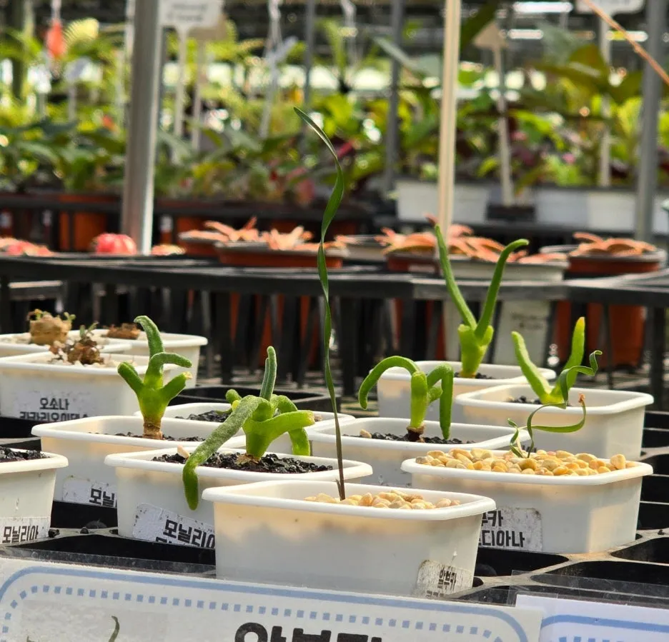 SE-41bbbbed-98b0-4a0d-b4ca-4b02d0febead.jpg?type=w1