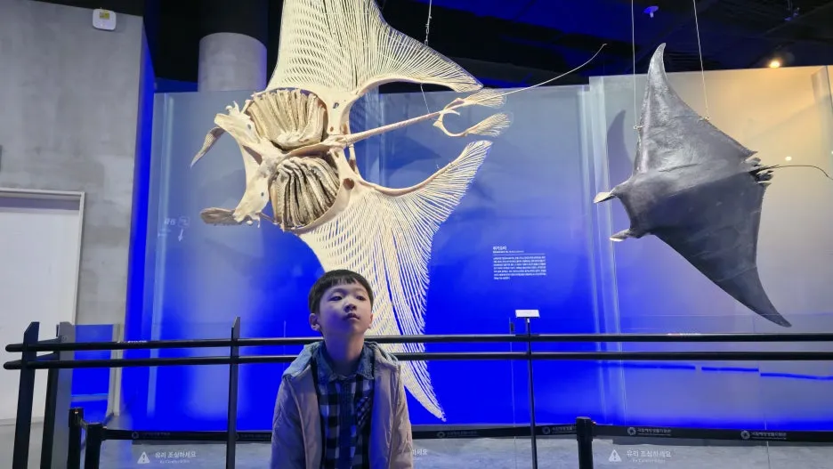 20260322_104943.jpg?type=w1