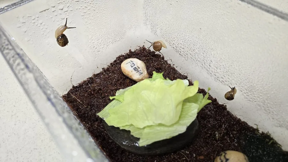 20260208_200033.jpg?type=w1