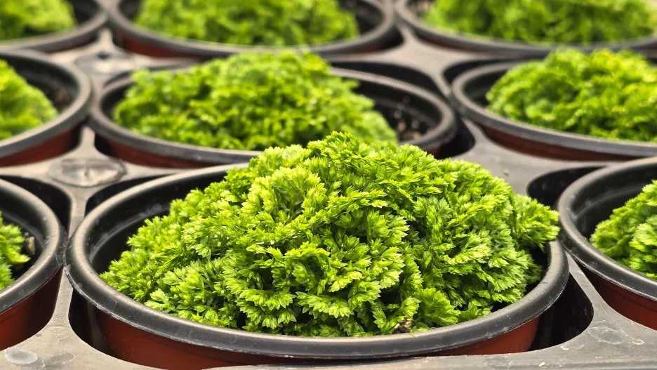 20260228_134016.jpg?type=w1