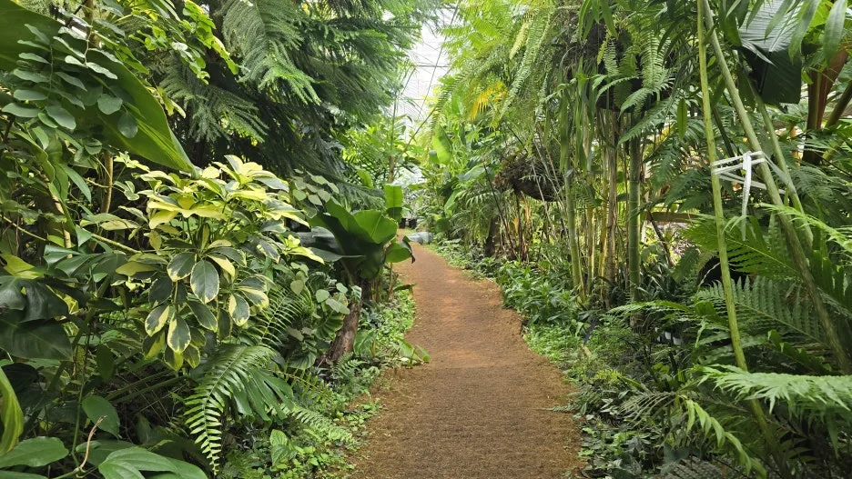 20260228_140633.jpg?type=w1