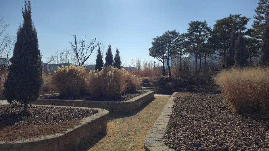 SE-d2ef2981-72c4-45ae-903a-0195345dbb68.jpg?type=w1