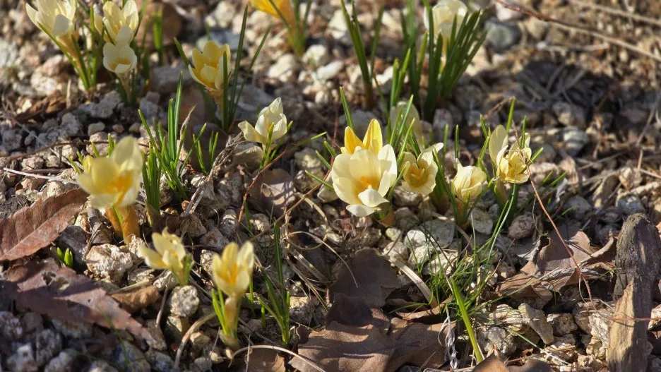 20260307_150924.jpg?type=w1