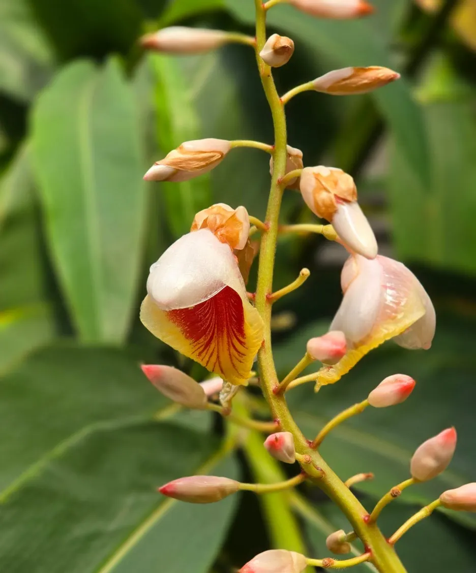 SE-d3ce4dfc-7c42-4134-89f2-da2bd2b473c7.jpg?type=w1