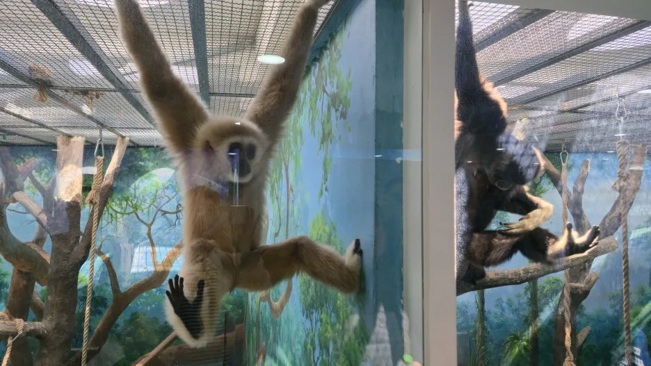 20260321_144703.jpg?type=w1