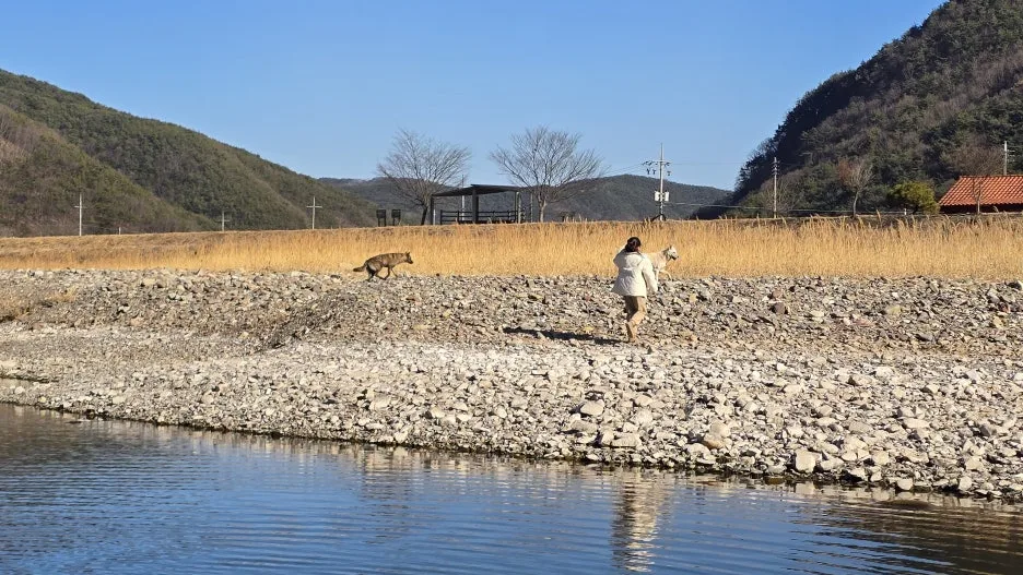 20260217_151835.jpg?type=w1