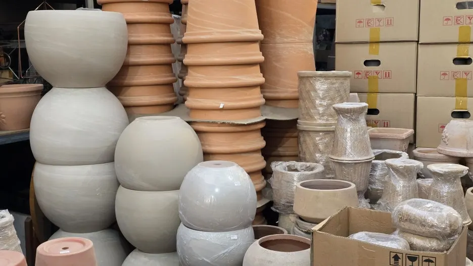 20260302_113703.jpg?type=w1