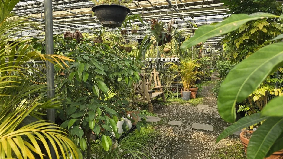 20260228_135456.jpg?type=w1