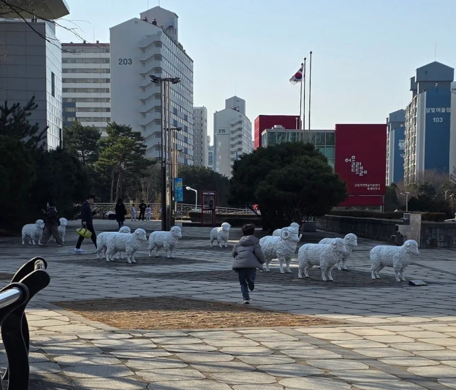 SE-8b5d7133-f226-4cd3-94e2-4f5a4f231d9e.jpg?type=w1