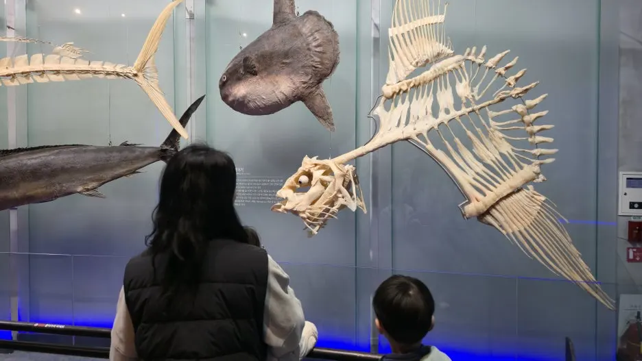 20260322_104958.jpg?type=w1