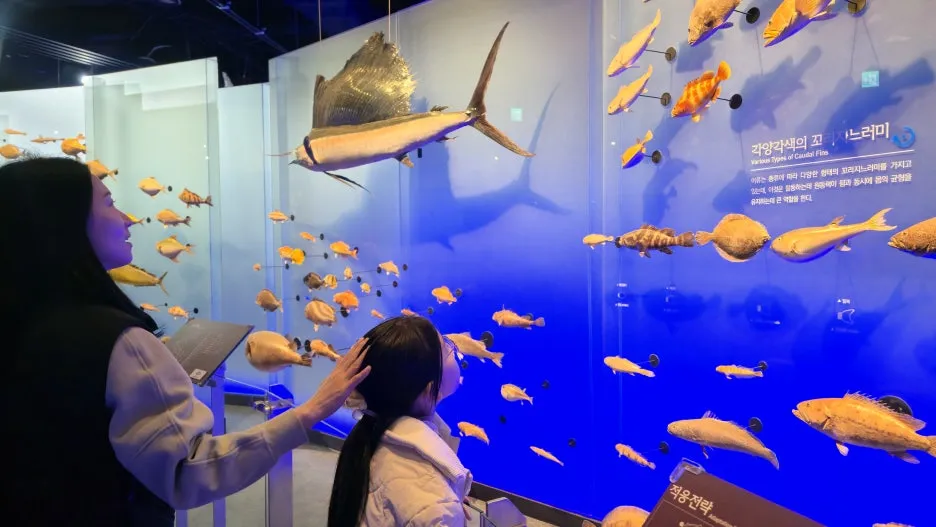 20260322_104516.jpg?type=w1