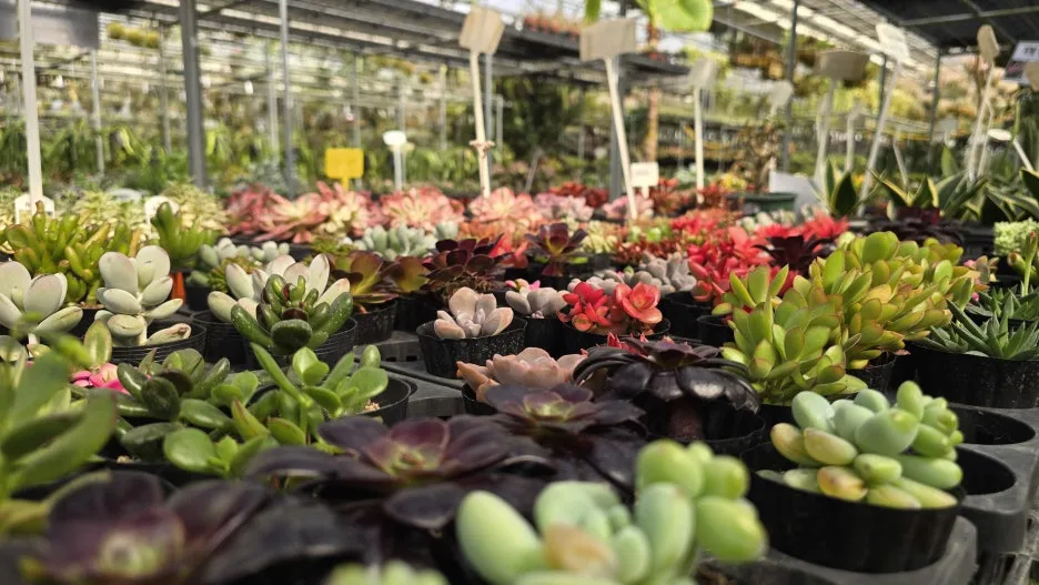 20260228_135046.jpg?type=w1