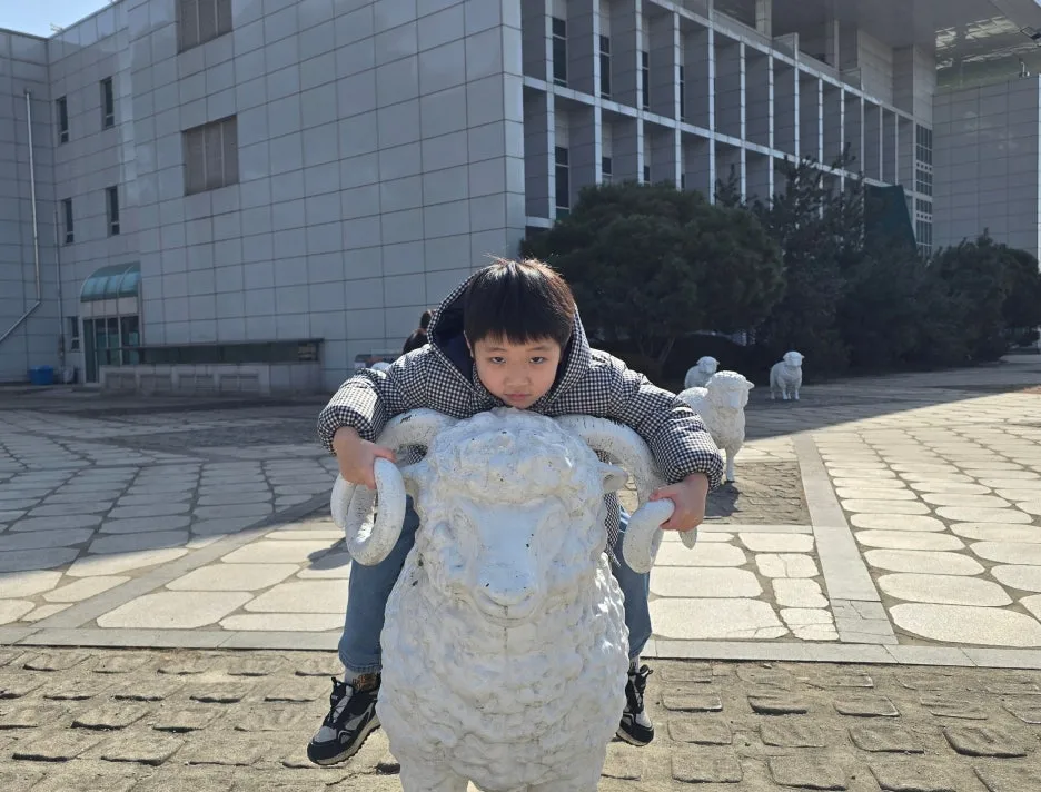 SE-5ff549f6-3428-4e73-ab7e-c9073a64a159.jpg?type=w1