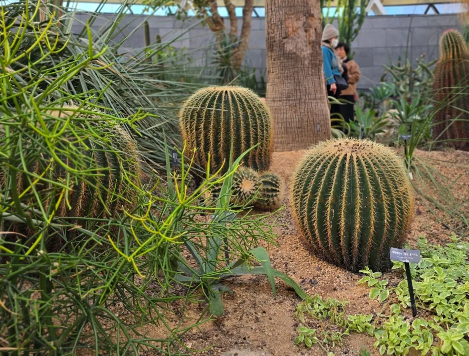 SE-14a307fc-1007-4627-9dc0-ce292f8fca2d.jpg?type=w1