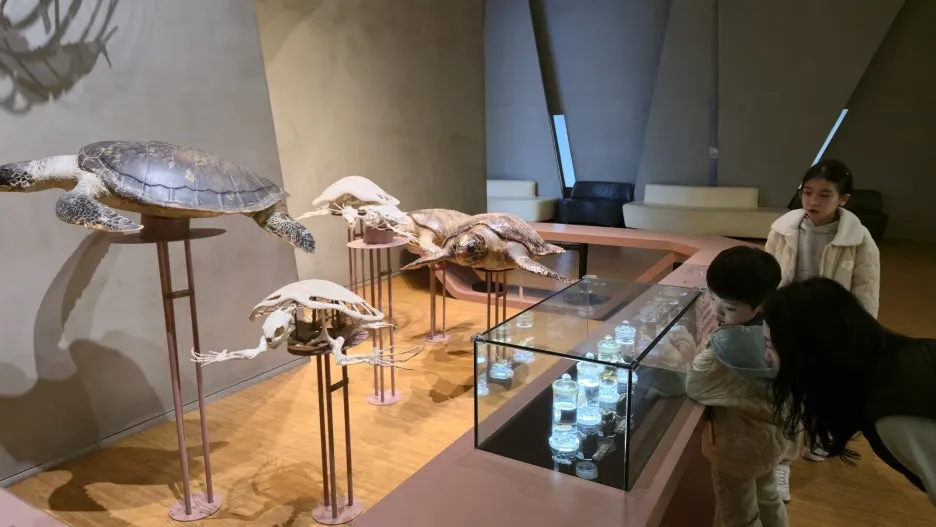 20260322_112645.jpg?type=w1