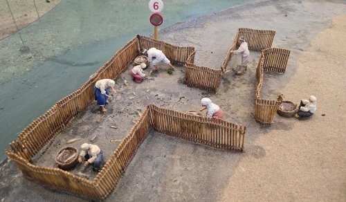 SE-58fe8d08-c014-4c67-ba55-432d48b3ffd0.jpg?type=w1