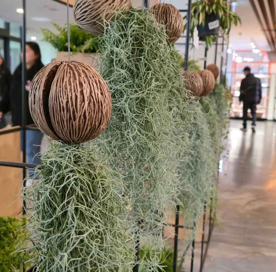 SE-14c4f947-de70-4388-8fea-8108fbb76a63.jpg?type=w1