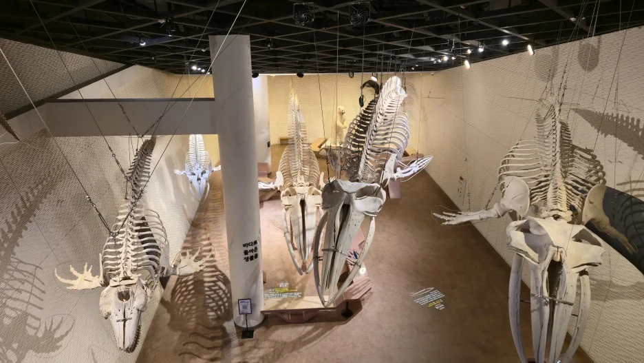 20260322_111511.jpg?type=w1