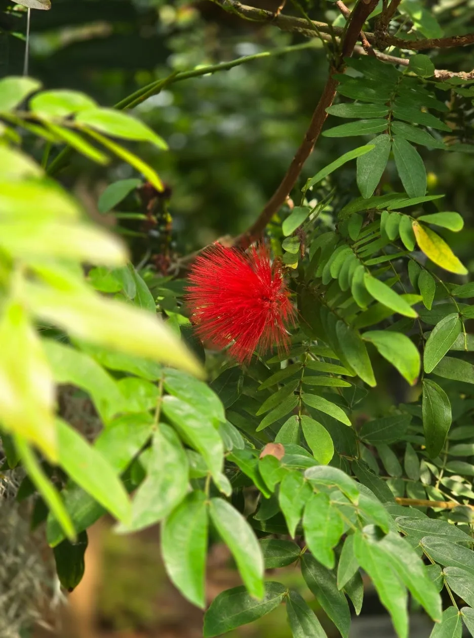 SE-1dbfc6f0-bb28-4c24-a503-fcae42654976.jpg?type=w1