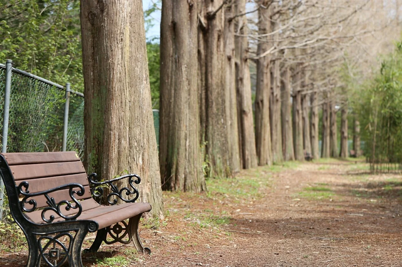 슬픔을 읽는 것.jpeg