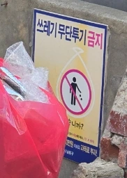 SE-26b14805-efa5-11f0-8074-2fdc23c3f54e.jpg?type=w773