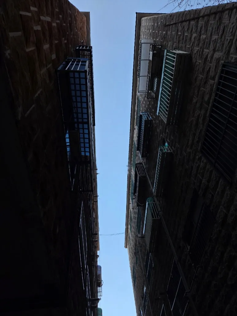 900%EF%BC%BF20260120%EF%BC%BF160304.jpg?type=w773