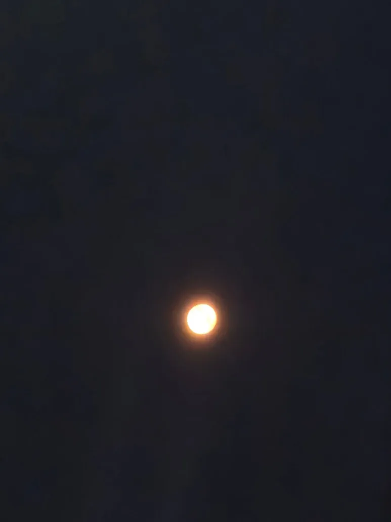 900%EF%BC%BF20260305%EF%BC%BF063505.jpg?type=w773