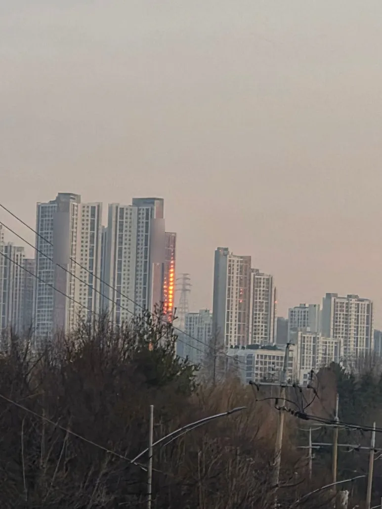 SE-d5efe2d5-1c22-11f1-bd5b-e3a85f4531ff.jpg?type=w773