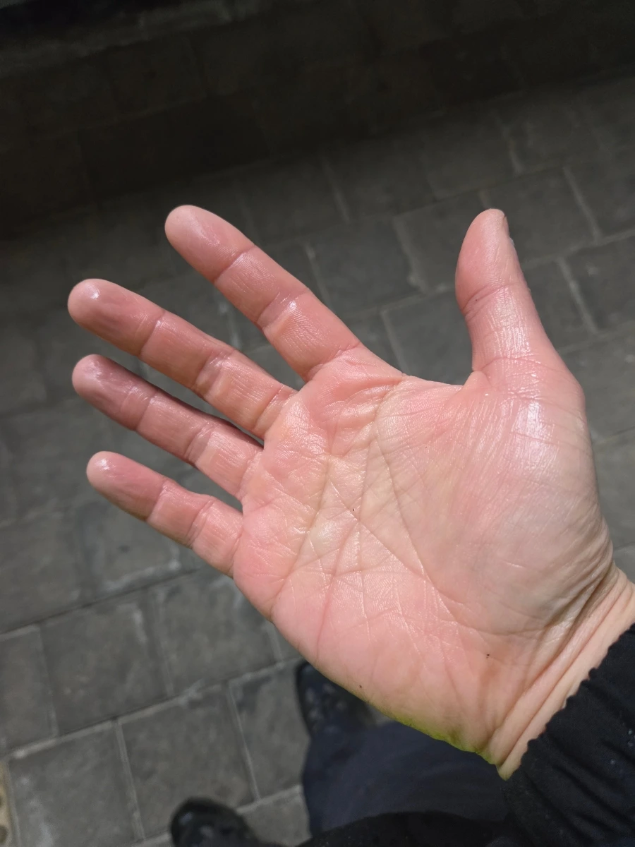 900%EF%BC%BF20260302%EF%BC%BF082656.jpg?type=w1