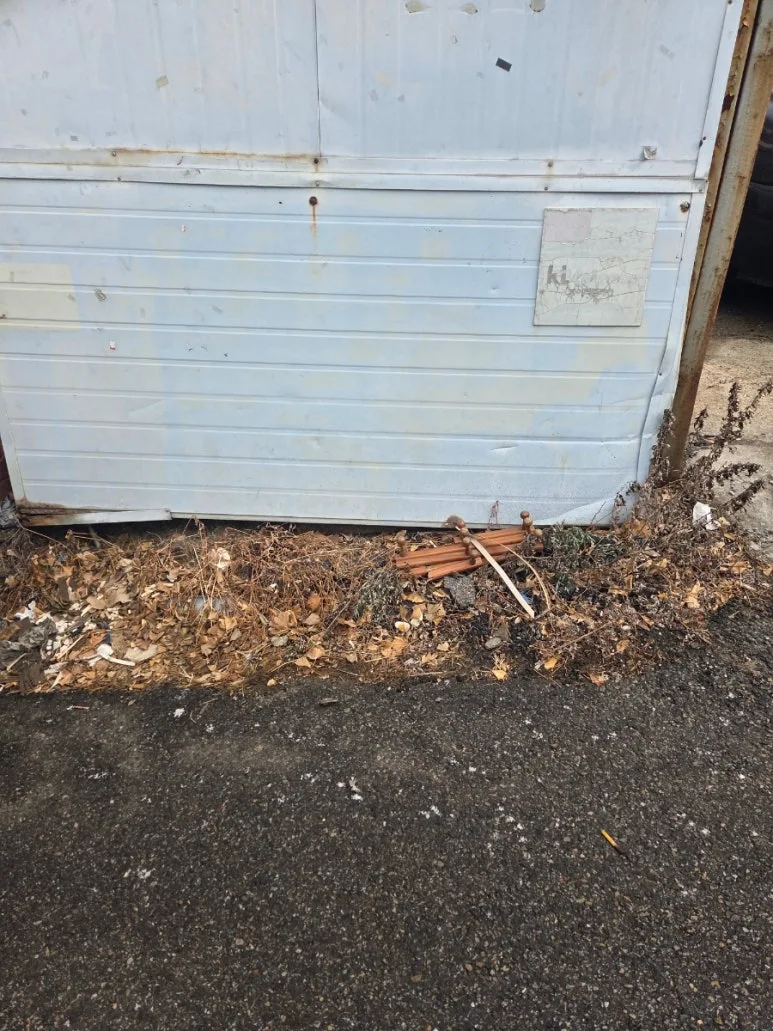 900%EF%BC%BF20260115%EF%BC%BF132342.jpg?type=w773