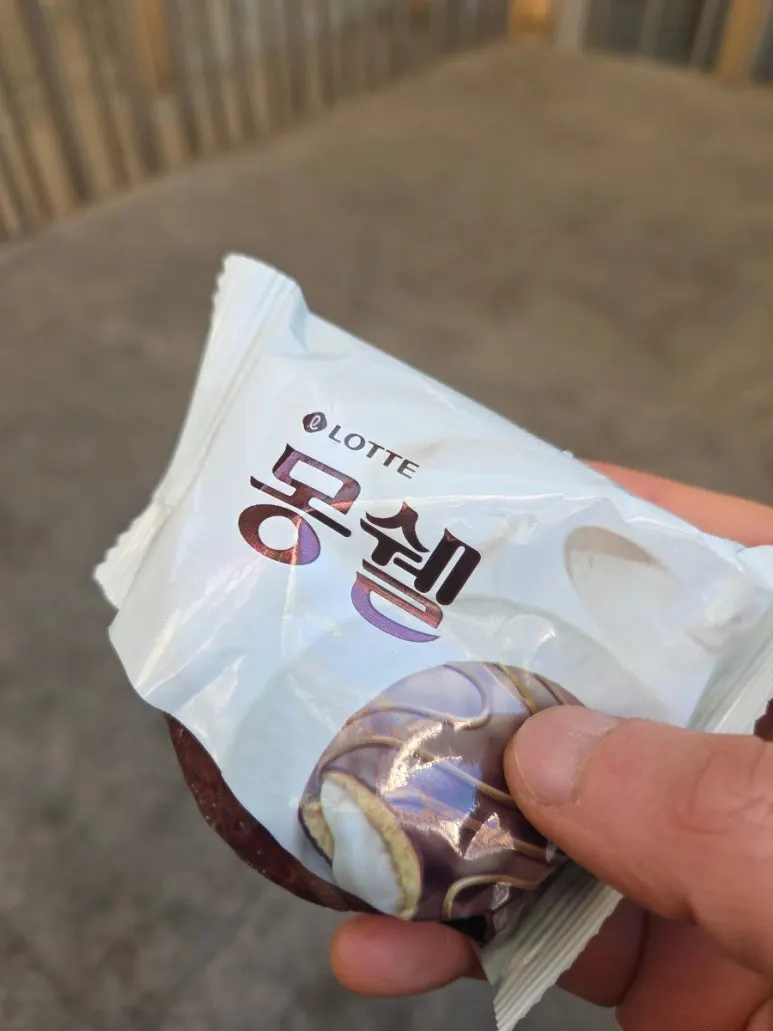 900%EF%BC%BF20260128%EF%BC%BF152838.jpg?type=w773