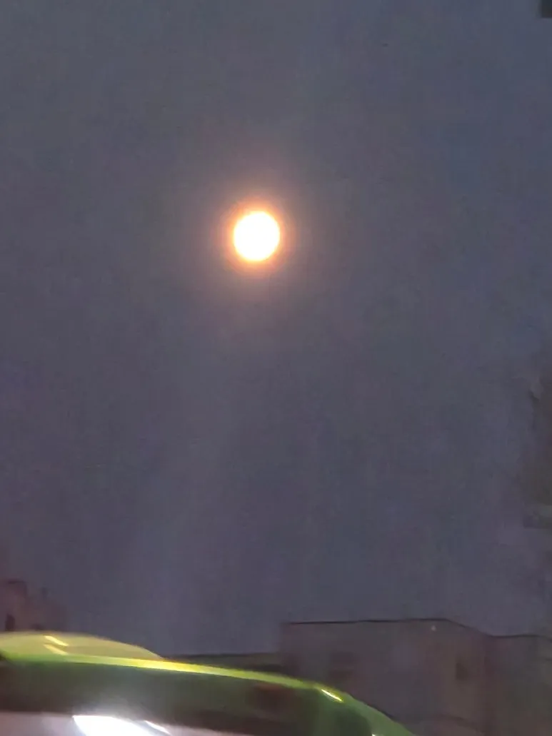 900%EF%BC%BF20260305%EF%BC%BF063514.jpg?type=w773