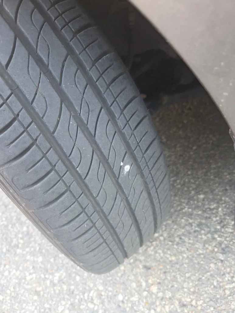 900%EF%BC%BF20260312%EF%BC%BF090642.jpg?type=w773