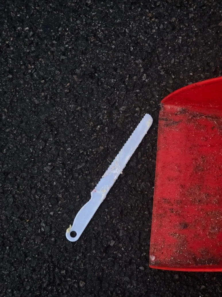 900%EF%BC%BF20260203%EF%BC%BF073630.jpg?type=w773