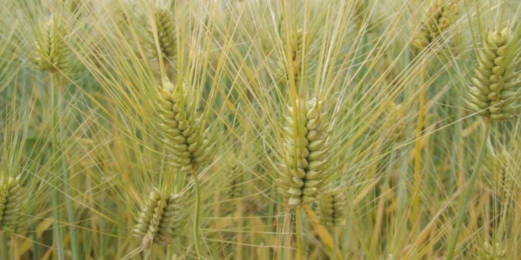 Screenshot 2026-03-18 at 14.33.22.JPG