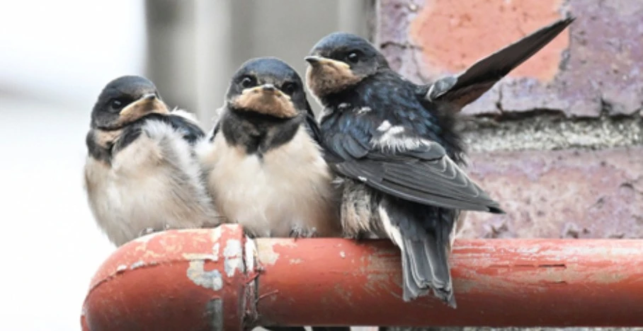 Screenshot 2026-03-18 at 15.14.29.JPG