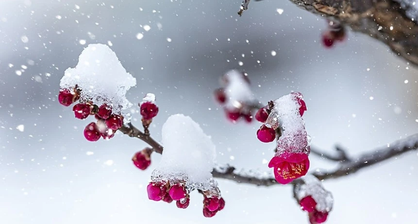 Screenshot 2026-02-12 at 16.50.39.JPG