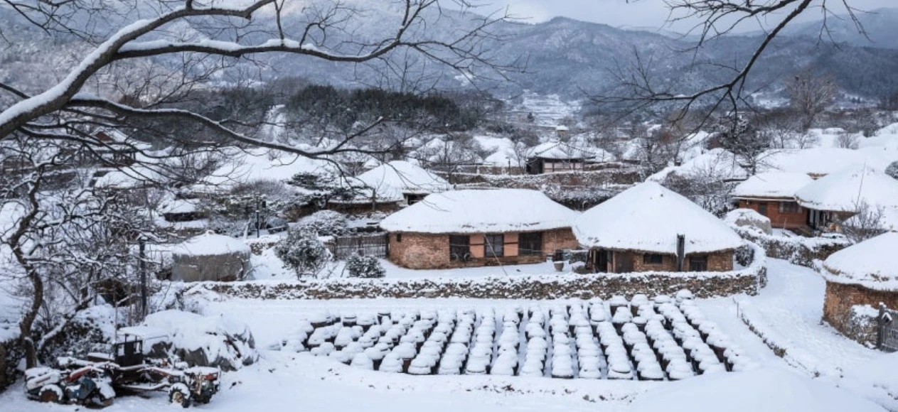 Screenshot 2026-02-18 at 15.51.04.JPG