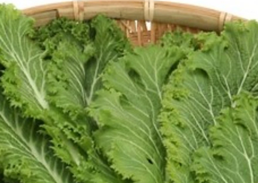 Screenshot 2026-03-18 at 13.52.35.JPG