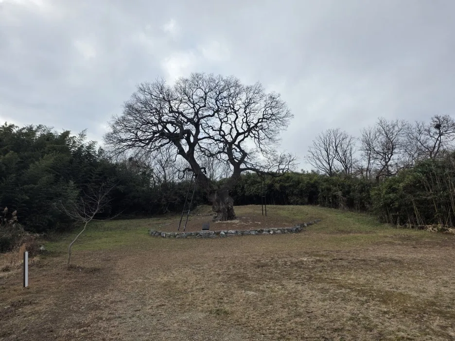 KakaoTalk_Photo_2026-01-31-14-34-59_004.jpeg?type=w1