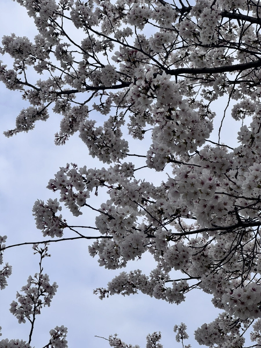 IMG%EF%BC%BF5357.jpg?type=w1