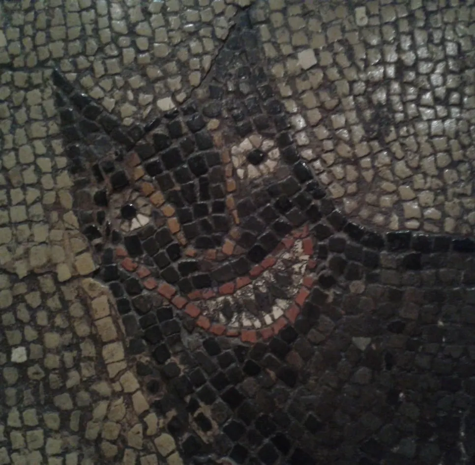 EshRbo5VoAEmwJQ.jpg?type=w966