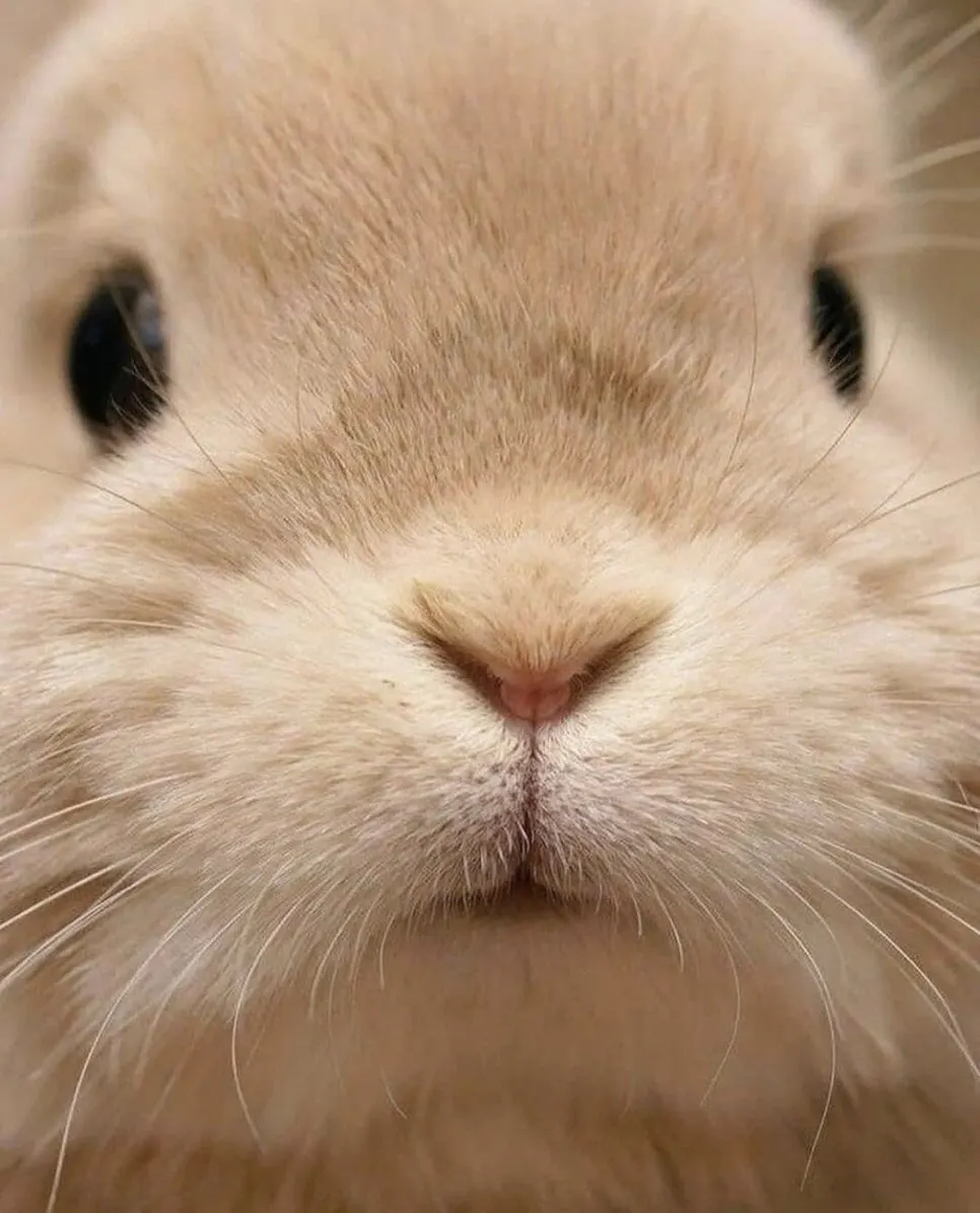 EpkA9nIVgAANkHi.jpg?type=w966