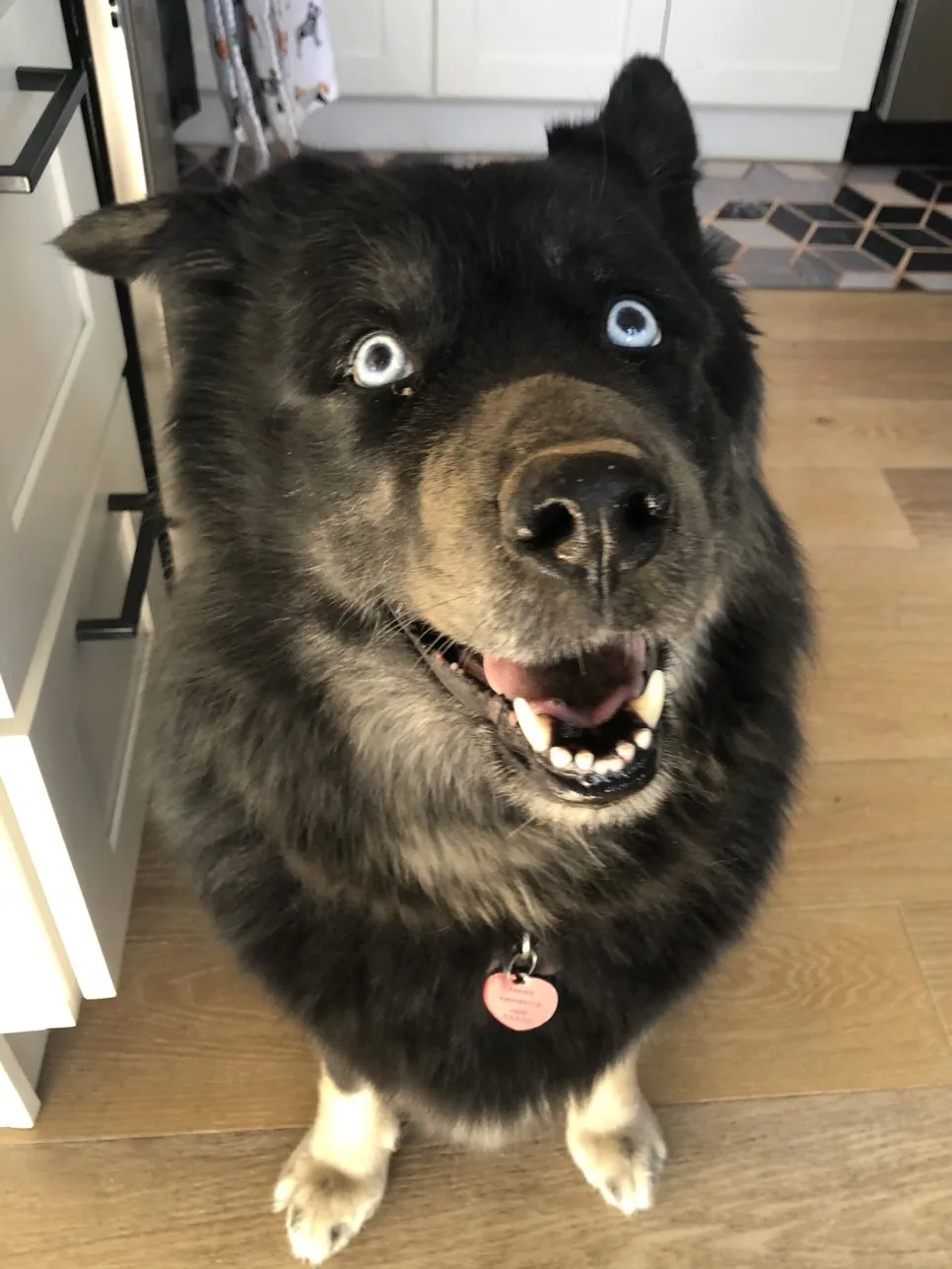 EshRbpAU4AAD8f2.jpg?type=w966