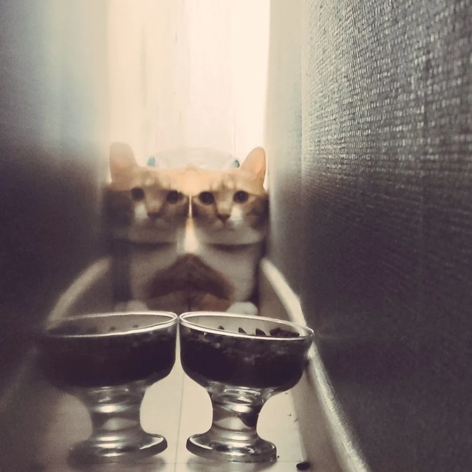 E1ak8ZFVIAAAMT7.jpg?type=w966