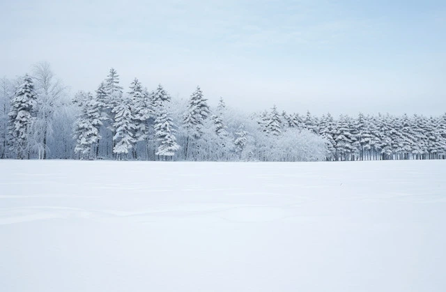 pngtree-a-snowy-field-with-trees-image_13066334.jpg?type=w966