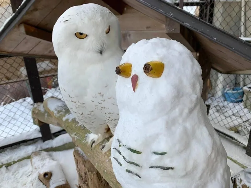 EsJuRE3UwAAWkrH_(1).jpg?type=w966